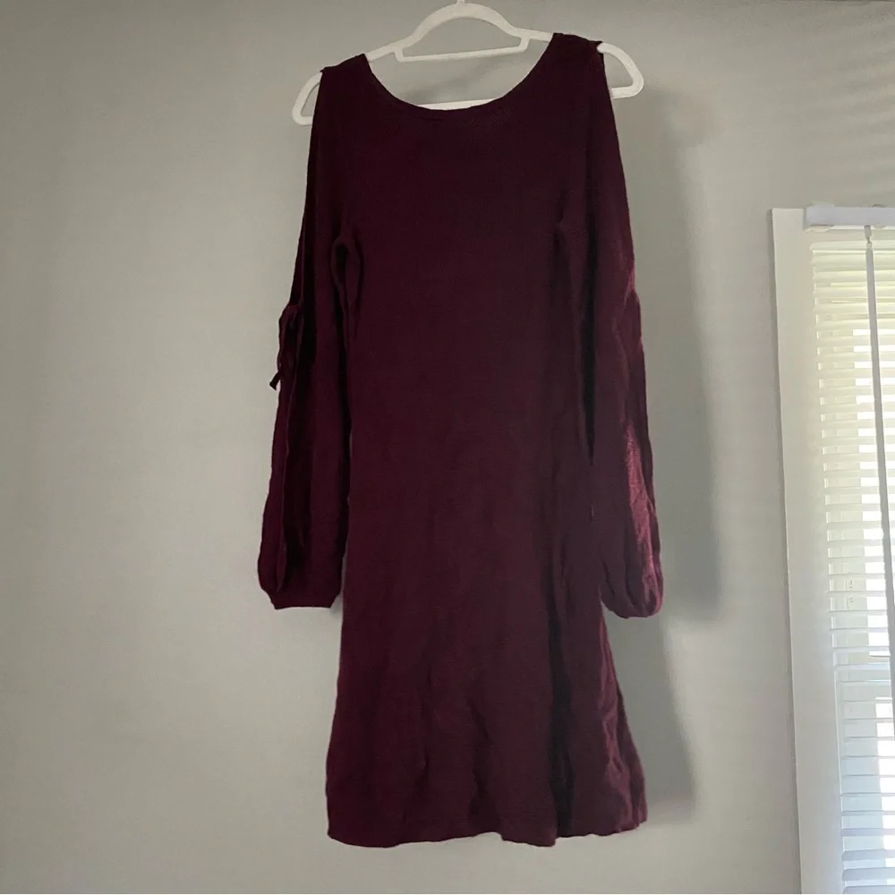 American Eagle Maroon Knit Dress